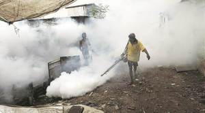 Experience, rigour, determination: How Sri Lanka eradicated malaria