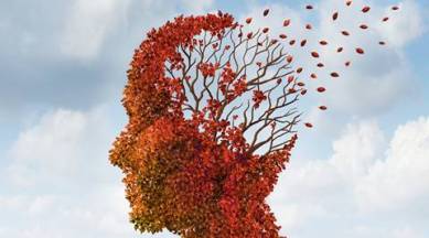 memory,  stress, testing, practice tests, news, latest news, health, world news, lifestyle