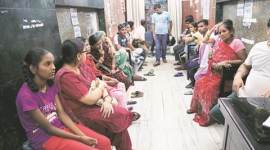 Chikungunya, Chikungunya death toll, delhi Chikungunya, delhi Chikungunya death toll, mosquito borne diseases, mosquito borne disease, india news