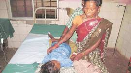 odisha-480 Odisha, Encephalitis, Japanese Encephalitis, odisha Encephalitis, odisha japanese Encephalitis, Encephalitis death toll, NHRC, odisha news, india news, indian express news, odisha deaths, odisha children death, pig rearing, odisha pig rearing