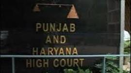 punjab-hc-main Punjab State Power Corporation Limited, Punjab HC, Punjab news, Chandigarh news, indian express news