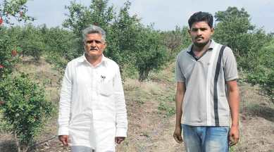 maratha protests, maharashtra education, youth employment, reservation, india news