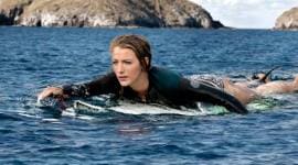 The Shallows movie review, The Shallows review, The Shallows, The Shallows Blake Lively, The Shallows film review, The Shallows blake lively movie review, Blake lively The Shallows movie review, The Shallows hollywood movie review, indian express, indian express news