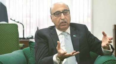 Pakistan, Pakistan J&K issue, J&K issue Kashmiris, Pakistan Kashmiris, Addul Basit, Basit Pakistan, Basit J&K, India Pakistan, India Kashmir, India news