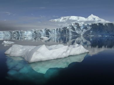 Antarctic ice, fossilised leaves, new zealand lake, crater lake new zealand, climate change, antarctic ice sheet, 23 million years ago, foulden maar, otago south island, carbon dioxide, ice sheet, science, science news