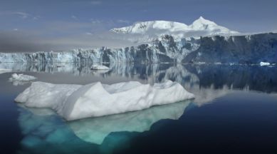 Fossil leaves show how Antarctic ice melted 23 mn years ago | Technology  News,The Indian Express