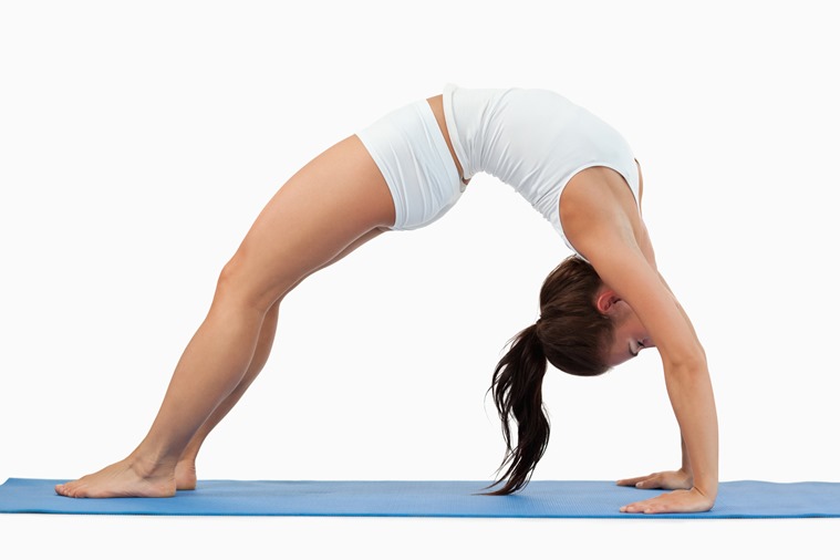 Premium Photo | Group of yoga girls gym / concept healthy body, sporty  lifestyle, girls doing yoga