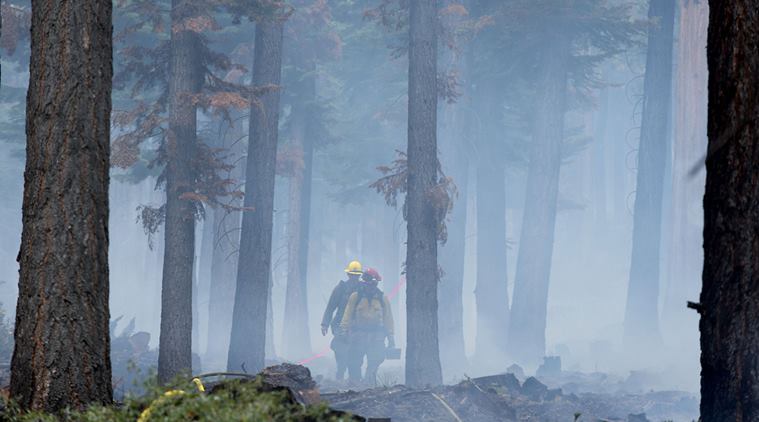 nevada wildfire, wildfire, nevada, nevada wildfire destruction, wildfire us, world news