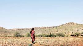 maharashtra, farmers, drought, maharashtra drought, maharashtra farmers, loans, farmer loans, agrarian crisis, agrarian distress, bad loans, agriculture, mumbai news, indian express news