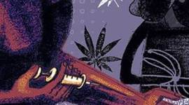 drugs-480 Punjab news, Punjab latest news, Punjab Drug news, Punjab Drug news, Punjab Latest news, Punjab crime latest news, Drug news, Punjab latest news, India news, National news, Latest news