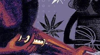 Punjab Crime news, Punjab crime, Crime related to drugs, India news, national news, Latest news, India news