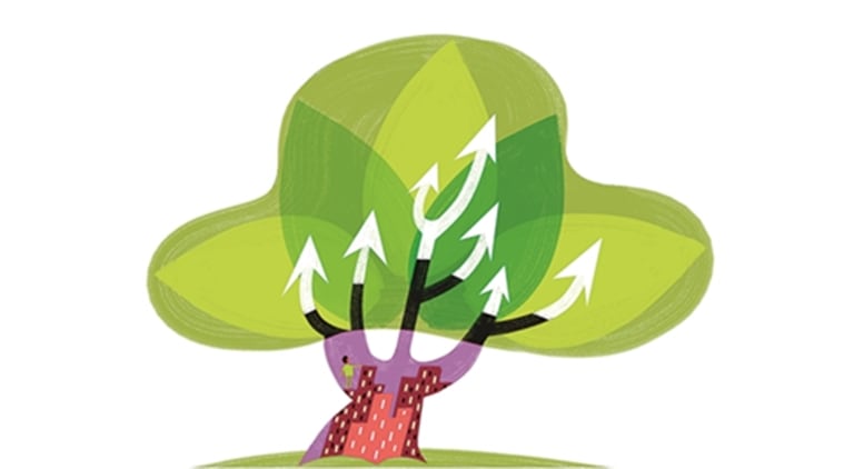 pune, pune award, Pune UNFCCC award, UNFCCC Momentum for Change, pune Swayam Shikshan Prayog, pune climate change award, pune news, india news