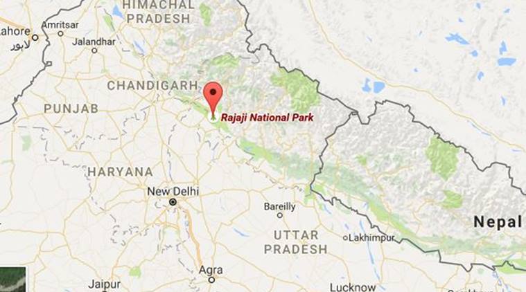 Elephant hit by train in Utharakhand, Uthrakhand news, elephant hit by train, latest news, India news, national news