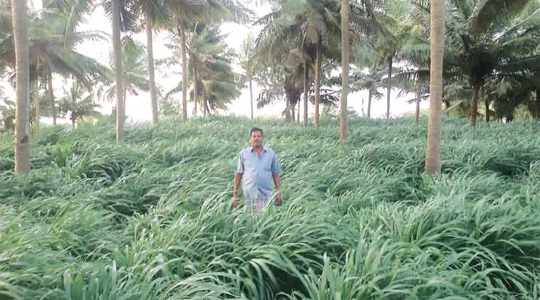 crop prices, india farmers, droughts india, farmer suicide, PPP model, PPP model in milk, agriculture sector, farming news, india news