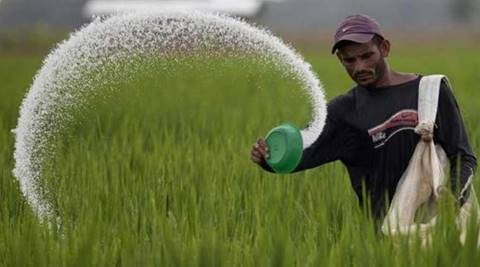kharif harvest, fertilizers, Krishi Bhawan, monsoon, Nutrient paradox, agriculture ministry, farmers, news, latest news, India news, national news, editorial
