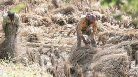 Environment Pollution (Prevention and Control) Authority, bhure lal, environment news, indian express,