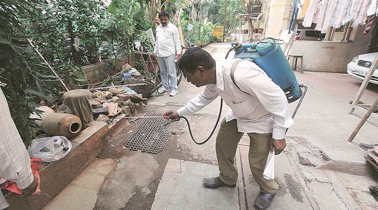 dengue, haryana dengue, haryana dengue campaign, Hum versus Dengue, Hum versus Dengue campaign, dengue deaths, indian express news, india news