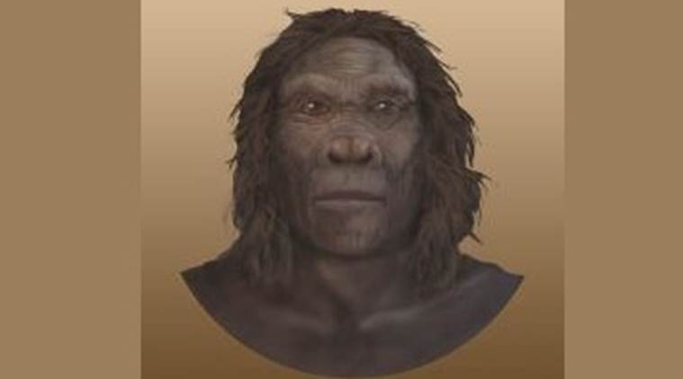 Homo habilis, human evolution, human ancestors, primates, Homo habilis right-handed, primates right handed, science news