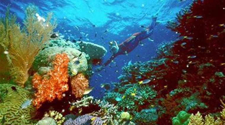 Australia: British tourist dies in Great Barrier Reef | World News