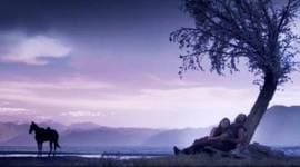 Mirzya, mirza sahiban, mirza sahiban original story, mirza sahiban story, Harshvardhan Kapoor, Saiyami Kher