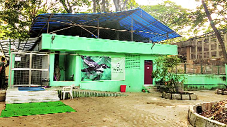 Mumbai zoo, Byculla zoo, Mumbai penguin death, Dory, Byculla zoo space, news, latest news, India news, national news, Mumbai news