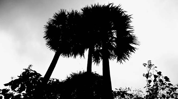 A photograph from his exhibition.