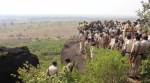 Bhopal jailbreak: 'Use of force inevitable, quite reasonable in SIMI activists' encounter'