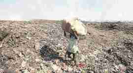 Brihanmumbai Municipal Corporations, ragpickers, garbage, open dumping, Asara Welfare Association, news, latest news, India news, national news