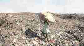 Brihanmumbai Municipal Corporations, ragpickers, garbage, open dumping, Asara Welfare Association, news, latest news, India news, national news