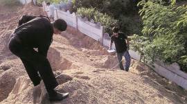 mining department records