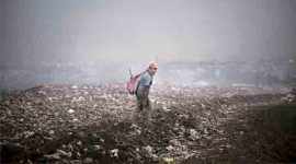 fire at bhalswa landfill, aap government, bjp, AAP, delhi pollution control, delhi news