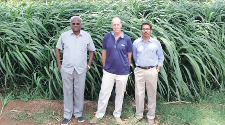 crop prices, india farmers, droughts india, farmer suicide, PPP model, PPP model in milk, agriculture sector, farming news, india news