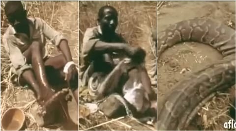 WATCH: This man catching a python using his leg is the scariest thing ...