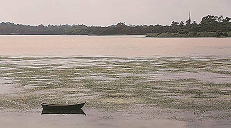 Chandigarh Administration, Sukhna Lake, man made lake, chandigarh municipal corporation, water waste, water treatment, water management, Chandigarh news, India news, Indian express news