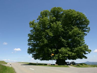 Atmospheric oxygen, oxygen, oxygen depletion, atmosphere, atmospheric oxygen levels, depletion of oxygen, depletion of atmospheric oxygen, earth's atmosphere, decline in oxygen percentage, fossil fuel damage on the atmosphere, science, science news, indian express