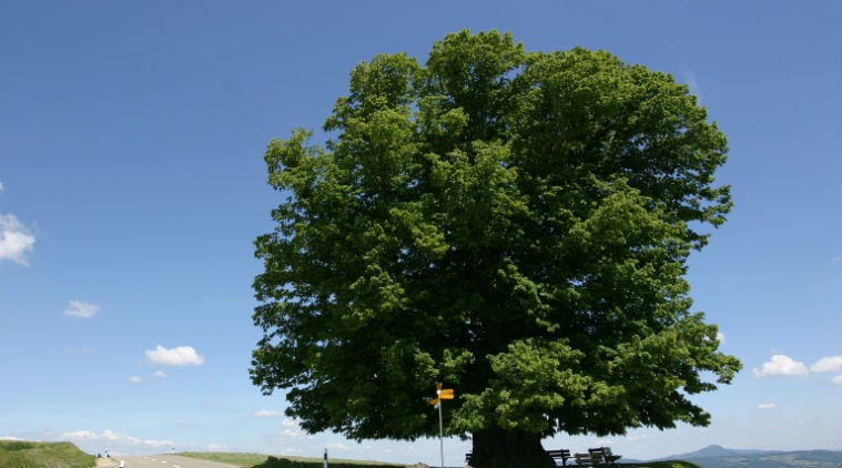 Atmospheric oxygen, oxygen, oxygen depletion, atmosphere, atmospheric oxygen levels, depletion of oxygen, depletion of atmospheric oxygen, earth's atmosphere, decline in oxygen percentage, fossil fuel damage on the atmosphere, science, science news, indian express