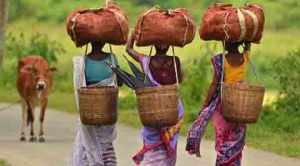 Simply put: Demand for tribal status becomes louder in Assam