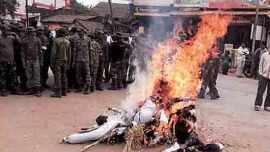 chhattisgarh village burnt, bastar police protests, chhattisgarh village burnt 2011, tadmetla village, chhattisgarh news, chhattisgarh, india news