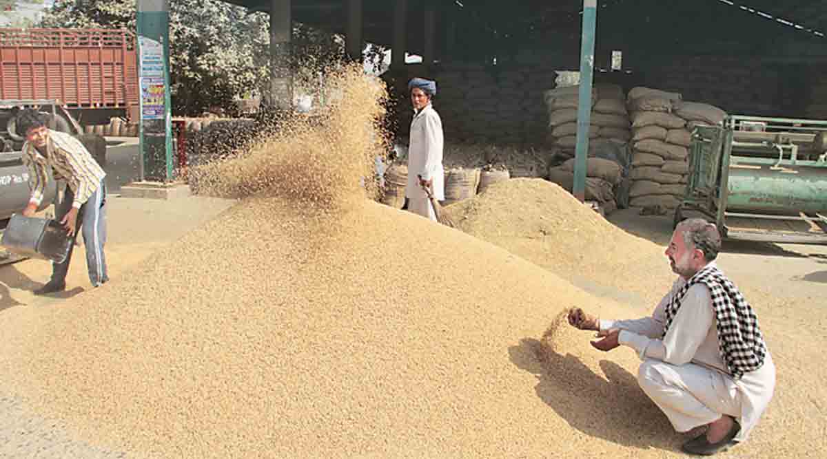 Government to release 10 lakh tonnes of wheat to check prices India
