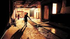 Byculla zoo, Humboldt penguins, Brihanmumbai Municipal Corporation, pocket gardens, animal enclosures, news, latest news, India news, national news, Mumbai news