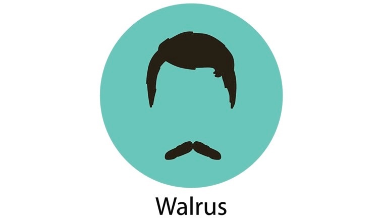 Mans hair set of beards and mustaches vector. Hipster style fashion beards and hair isolated illustration. Peoples hairstyle icon, collection of beards and mustaches for barbershop.Mans trendy haircut types for barber shop. Isolated collection of mans beards design, haircut of head heir and mustaches.Hipster hair and beards, fashion vector illustration set.