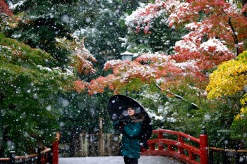 Tokyo weather: Snow storm SMASHES Tokyo for first time in 4 years