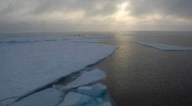 Arctic ice, antarctic ice, NASA, global warming, sea levels, sea ice decline, sea ice at record low levels, sea ice content, antarctic sea, climate change, global temperature, science, science news