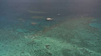 marine, ghost nets, ghost net, save marine life, marine life, southern coast, maharashtra marine life, mumbai news, indian express news