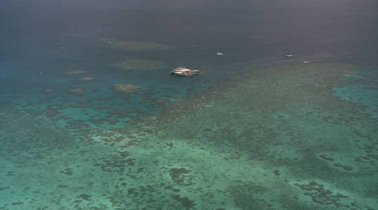 Australia’s Great Barrier Reef, Great Barrier Reef dying, Australia’s Great Barrier Reef dying, dying coral, latest news, latest world news