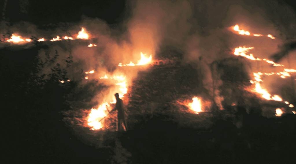 crop stubble burning, stubble burning, stubble burning ban, pollution, delhi pollution, stubble pollution, ban stubble burning, punjab haryana government, punjab stubble burning, karnal, patiala, indian express news, NGT, india news, delhi news