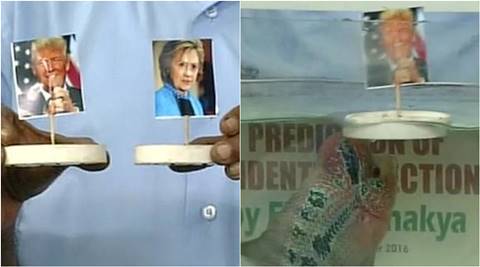 Donald Trump will be the next US President, predicts Chennai’s Chanakya the fish