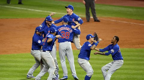 Chicago Cubs World Series Champions MLB Official India
