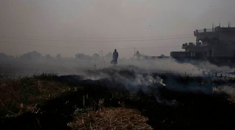 Delhi air pollution, india air pollution, air pollution rise, Delhi smog, India smog, smog rise, Haryana crop burning, haryana stubble burning, haryana stubble burnt, farmers penalised, haryana government, india news, indian express