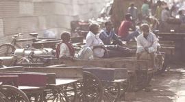 BJP, Delhi, Demonetisation, Delhi demonetisation news, delhi news, delhi polls, delhi civic polls, ndmc polls, india news